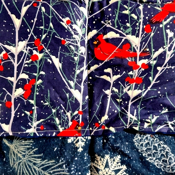 Rice-flax seed therapeutic heating-cooling foot/hand warmer, rice bag, Cardinals - Picture 2 of 3